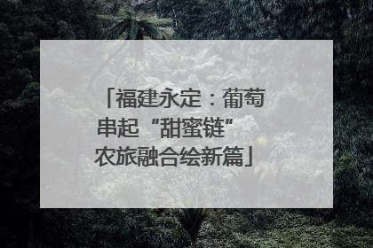 福建永定：葡萄串起“甜蜜链” 农旅融合绘新篇